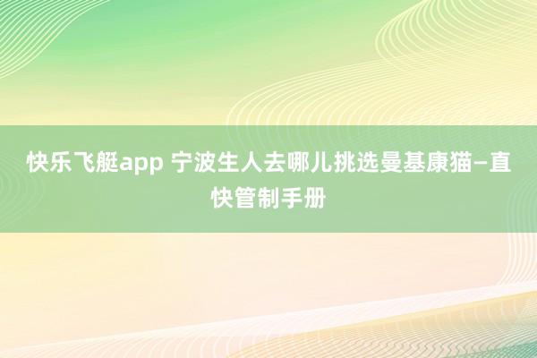 快乐飞艇app 宁波生人去哪儿挑选曼基康猫—直快管制手册
