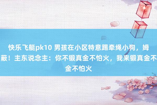 快乐飞艇pk10 男孩在小区特意踢牵绳小狗，姆妈遮蔽！主东说念主：你不锻真金不怕火，我来锻真金不怕火