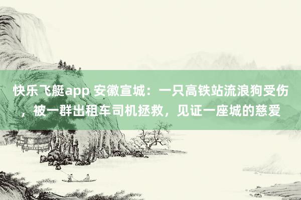 快乐飞艇app 安徽宣城：一只高铁站流浪狗受伤，被一群出租车司机拯救，见证一座城的慈爱
